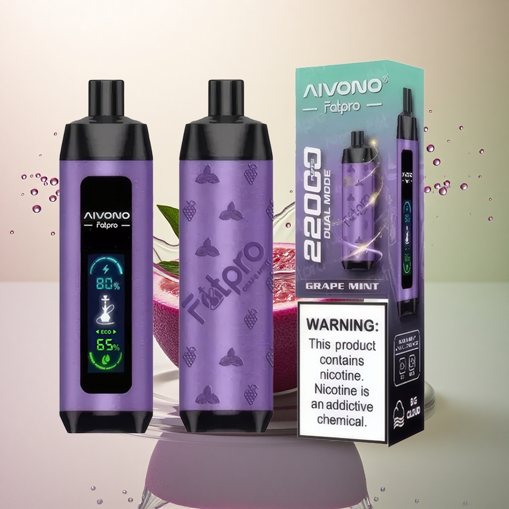Aivono Aim Fatpro 22000 Menthe Raisin 5% Nicotine 600mAh