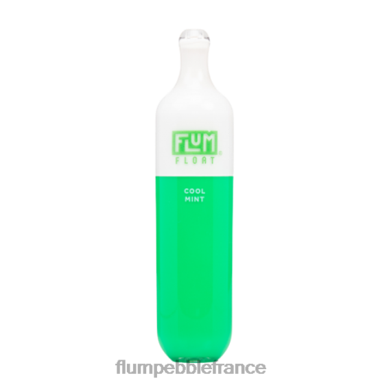 Flum Pebble Review - FLUM FLOAT 3000 bouffées menthe fraîche P808625