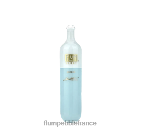 Flum Pebble Vape Review - FLUM FLOAT 3000 bouffées brise P808619