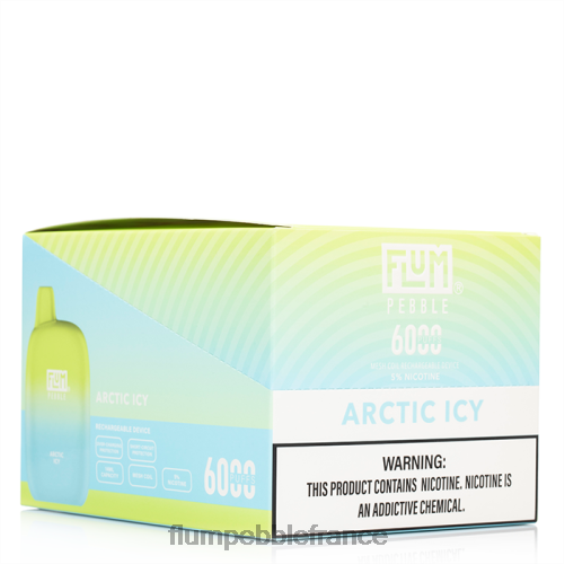 Flum Pebble Flavors - FLUM PEBBLES 6000 bouffées 10 paquets arctique glacé P80866