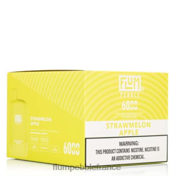 Flum Pebble Vape Review - FLUM PEBBLES 6000 bouffées 10 paquets pomme pastèque P808679