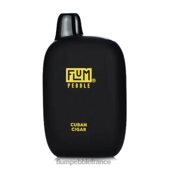 Flum Pebble Vape Review - FLUM PEBBLES 6000 bouffées cigare cubain P808629