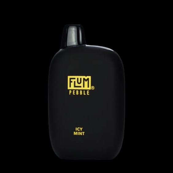 Flum Pebble Vape Review - FLUM PEBBLES 6000 bouffées menthe glacée P808649